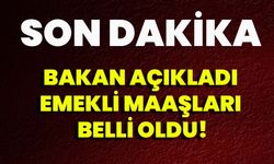 Bakan açıkladı: Emekli maaşları belli oldu!