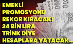 Emekli promosyonu REKOR kıracak! 24 bin lira trink diye hesaplara yatacak…