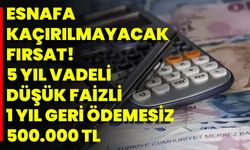 Esnafa Kaçırılmayacak Fırsat! 5 Yıl Vadeli Düşük Faizli 1 Yıl Geri Ödemesiz 500.000 TL