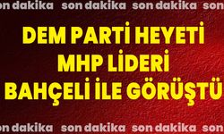 DEM Parti heyeti MHP lideri Bahçeli ile görüştü