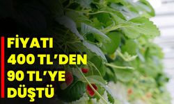 Fiyatı 400 TL’den 90 TL’ye düştü