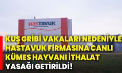 KUŞ GRİBİ VAKALARI NEDENİYLE, HASTAVUK FİRMASINA CANLI KÜMES HAYVANI İTHALAT YASAĞI GETİRİLDİ