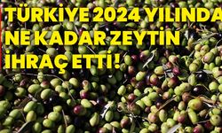 Türkiye 2024 yılında ne kadar zeytin ihraç etti!