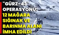 "GÜRZ-43" Operasyonu: 12 Mağara, Sığınak Ve Barınma Alanı İmha Edildi