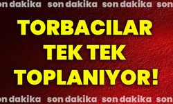 Torbacılar tek tek toplanıyor!