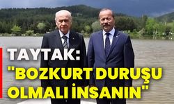 Taytak: "Bozkurt duruşu olmalı insanın"