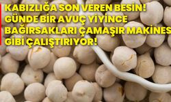 Kabızlığa son veren besin! Günde bir avuç yiyince bağırsakları çamaşır makinesi gibi çalıştırıyor!