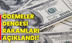 Ödemeler dengesi rakamları açıklandı!