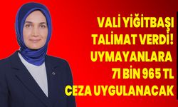 Vali Yiğitbaşı Talimat Verdi!  Uymayanlara  71 Bin 965 TL Ceza Uygulanacak