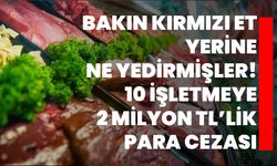 Bakın kırmızı et yerine ne yedirmişler! 10 işletmeye 2 milyon TL’lik para cezası!