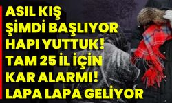 Asıl kış şimdi başlıyor, hapı yuttuk! Tam 25 il için kar alarmı! Lapa lapa geliyor