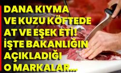 Dana Kıyma Ve Kuzu Köftede At Ve Eşek Eti! İşte Bakanlığın Açıkladığı O Markalar…