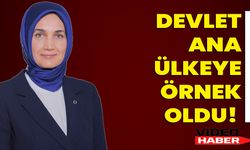 Devlet Ana Ülkeye Örnek Oldu!