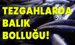 Tezgahlarda balık bolluğu!