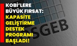 KOBİ’lere Büyük Fırsat: Kapasite Geliştirme Destek Programı Başladı!