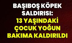 Başıboş Köpek Saldırısı: 13 Yaşındaki Çocuk Yoğun Bakıma Kaldırıldı