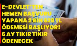 E-Devlet’ten hemen başvuru yapana 2 Bin 628 TL ödemesi başlıyor! 6 Ay tıkır tıkır ödenecek