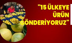 "15 ülkeye ürün gönderiyoruz"