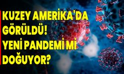 Kuzey Amerika'da  Görüldü! Yeni Pandemi Mi Doğuyor?