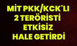 MİT, PKK/KCK'lı 2 teröristi  etkisiz hale getirdi