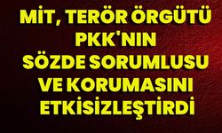 MİT, terör örgütü PKK'nın sözde sorumlusu ve korumasını etkisizleştirdi