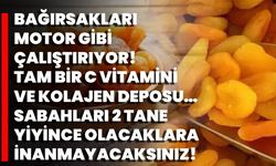 Bağırsakları Motor Gibi Çalıştırıyor! Tam Bir C Vitamini Ve Kolajen Deposu…