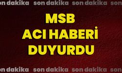 MSB Acı Haberi Duyurdu