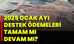 2025 Ocak Ayı Destek Ödemeleri Tamam Mı Devam Mı?