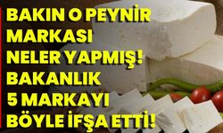 Bakın O Peynir Markası Neler Yapmış! Bakanlık 5 Markayı Böyle İfşa Etti!