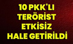 10 PKK'lı Terörist Etkisiz Hale Getirildi