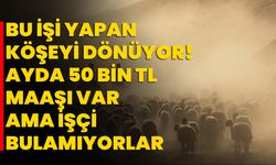 Bu işi yapan köşeyi dönüyor! Ayda 50 bin TL maaşı var ama işçi bulamıyorlar