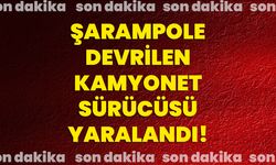 Şarampole devrilen kamyonet sürücüsü yaralandı!