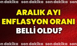 Aralık ayı enflasyon oranı belli oldu!