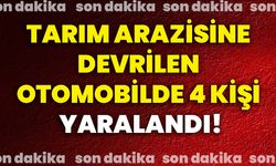 Tarım arazisine devrilen otomobilde 4 kişi yaralandı!