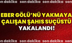 Eber Gölü’nü yakmaya çalışan şahıs suçüstü yakalandı!