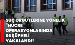 Suç örgütlerine yönelik "Hücre" operasyonlarında 66 şüpheli yakalandı!