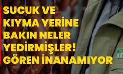 Sucuk ve kıyma yerine bakın neler yedirmişler! Gören inanamıyor