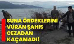 Isparta'da suna ördeklerini vuran şahıs cezadan kaçamadı!