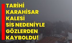 Tarihi Karahisar Kalesi sis nedeniyle gözlerden kayboldu!