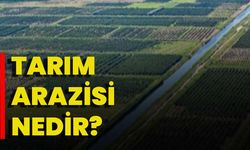 Tarım Arazisi Nedir?