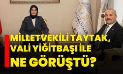 Milletvekili Taytak, Vali Yiğitbaşı ile ne görüştü?