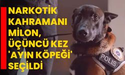 Isparta'nın narkotik kahramanı Milon, üçüncü kez 'ayın köpeği' seçildi