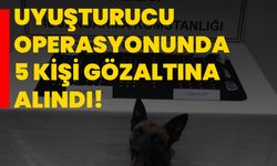 Uyuşturucu operasyonunda 5 kişi gözaltına alındı!