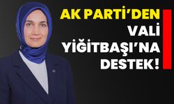 AK Parti’den Vali Yiğitbaşı’na destek!