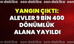 Yangın Çıktı: Alevler 9 Bin 400 Dönümlük Alana Yayıldı