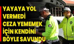 Yayaya Yol Vermedi Ceza Yememek İçin Kendini Böyle Savundu