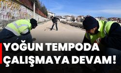 Yoğun tempoda çalışmaya devam!