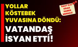 Yollar köstebek yuvasına döndü: Vatandaş isyan etti!