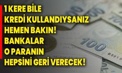 1 kere bile kredi kullandıysanız hemen bakın! Bankalar o paranın hepsini geri verecek!