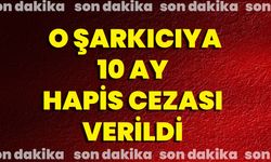 O Şarkıcıya 10 Ay Hapis Cezası Verildi